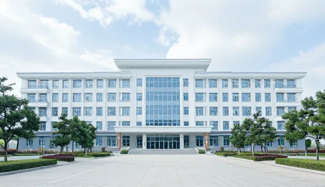 管网工程执行中常见问题及技术服务应对方向